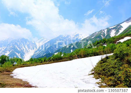 Tsugaike Nature Park in June, Part 2, Part 1 Tsugaike Nature Park in Spring Shinshu Nature Shinshu Scenery 130507387