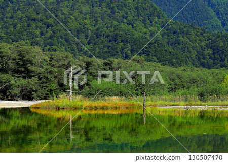 夏天Kamikochi·大正池 夏天Kamikochi·大正池 130507470