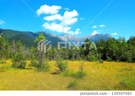 Kamikochi in summer, Tashiro Marshland and the Hotaka mountain range 130507485