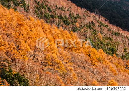 蓼科八峰的秋天 130507632