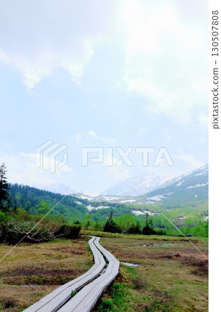 Tsugaike Nature Park in June, Part 2, Part 1 Tsugaike Nature Park in Spring Shinshu Nature Shinshu Scenery 130507808