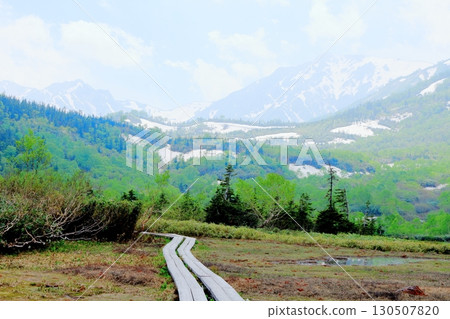Tsugaike Nature Park in June, Part 2, Part 1 Tsugaike Nature Park in Spring Shinshu Nature Shinshu Scenery 130507820