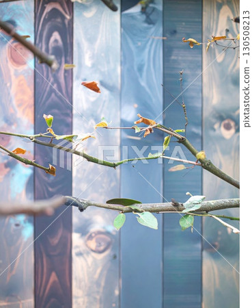 Rustic Wood Panel Wall with Branches and Autumnal Leaves Detail Shot Rustic Wood Panel Wall with Branches and Autumnal Leaves Detail Shot 130508213