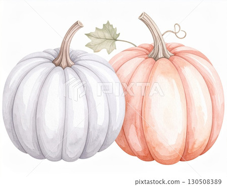 Two Watercolor Pumpkins White And Orange With Green Leaf On White Background 130508389