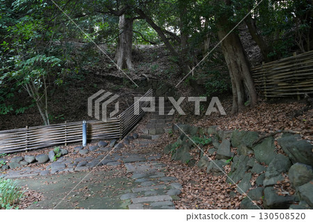 Sanshiro Pond, Hongo Campus, University of Tokyo 130508520