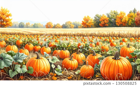 Abundant Orange Pumpkins in Golden Wheat Field Under Clear Sky During Autumn Day Abundant Orange Pumpkins in Golden Wheat Field Under Clear Sky During Autumn Day 130508825