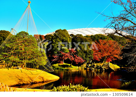 都立花園小石川後樂園，楓葉紅艷 130509614