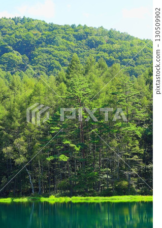 東山魁夷的《綠色迴響》的主題－彌散池 130509902