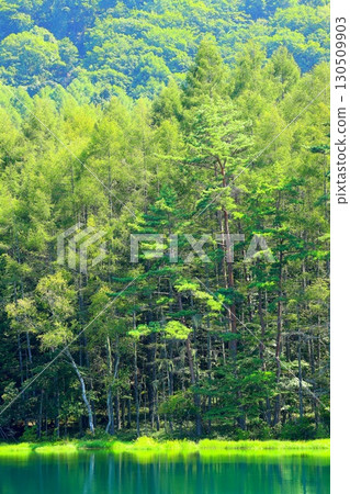 東山魁夷的《綠色迴響》的主題－彌散池 130509903