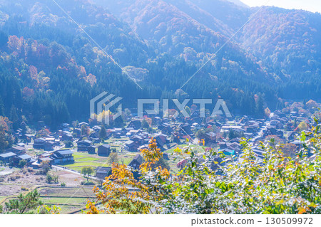[Autumn Material] Autumn scenery of Shirakawa-go, seen from the observation deck [Gifu Prefecture] 130509972