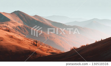 Rolling autumn hills are covered in golden trees softly stretching into the distant misty light 130510316