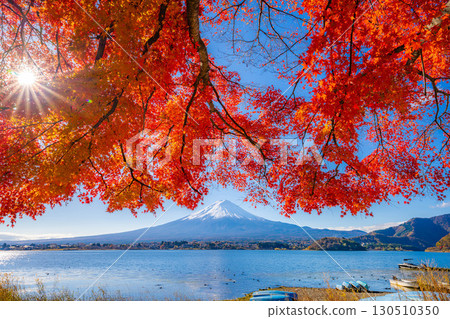 [富士山素材]秋天從河口湖看到的白雪皚皚的富士山和紅葉[山梨縣] 130510350