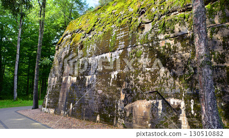 Destroyed WWII bunker ruins found in the forest covered with moss, shrubs, and other flora. Destroyed WWII bunker ruins found in the forest covered with moss, shrubs, and other flora. 130510882