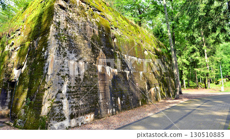 Destroyed WWII bunker ruins found in the forest covered with moss, shrubs, and other flora. 130510885