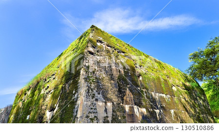 Destroyed WWII bunker ruins found in the forest covered with moss, shrubs, and other flora. 130510886