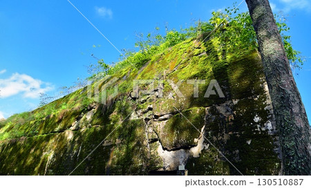 Destroyed WWII bunker ruins found in the forest covered with moss, shrubs, and other flora. 130510887