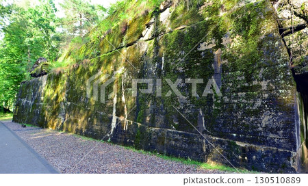 Destroyed WWII bunker ruins found in the forest covered with moss, shrubs, and other flora. Destroyed WWII bunker ruins found in the forest covered with moss, shrubs, and other flora. 130510889