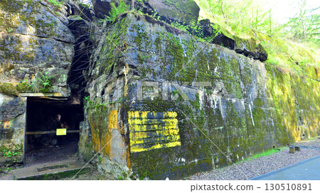 Destroyed WWII bunker ruins found in the forest covered with moss, shrubs, and other flora. 130510891
