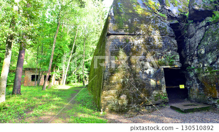 Destroyed WWII bunker ruins found in the forest covered with moss, shrubs, and other flora. Destroyed WWII bunker ruins found in the forest covered with moss, shrubs, and other flora. 130510892