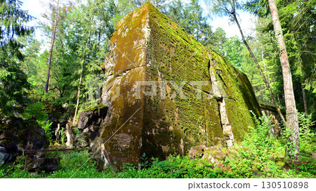 Destroyed WWII bunker ruins found in the forest covered with moss, shrubs, and other flora. Destroyed WWII bunker ruins found in the forest covered with moss, shrubs, and other flora. 130510898