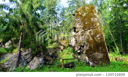 Destroyed WWII bunker ruins found in the forest covered with moss, shrubs, and other flora. 130510899