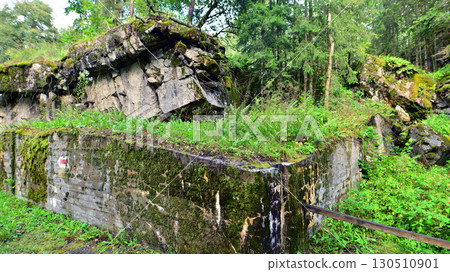 Destroyed WWII bunker ruins found in the forest covered with moss, shrubs, and other flora. Destroyed WWII bunker ruins found in the forest covered with moss, shrubs, and other flora. 130510901
