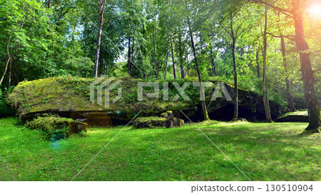 Destroyed WWII bunker ruins found in the forest covered with moss, shrubs, and other flora. Destroyed WWII bunker ruins found in the forest covered with moss, shrubs, and other flora. 130510904