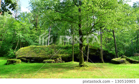 Destroyed WWII bunker ruins found in the forest covered with moss, shrubs, and other flora. Destroyed WWII bunker ruins found in the forest covered with moss, shrubs, and other flora. 130510905