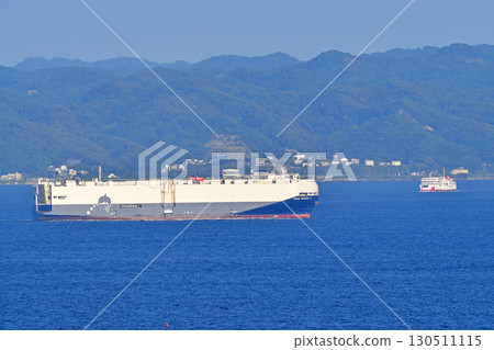 東京灣浦賀水道 東京灣渡輪 金谷丸號 豐富士航運 TRANS HARMONY 2 130511115