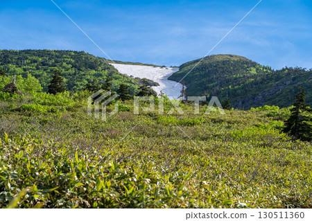 Snowfields on the Tombiwa course seen from Minami-Ryūga-Baba. Climbing Mt. Hakusan Gozenmine in early summer. 130511360