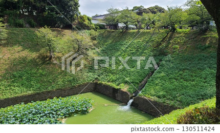 牛是一個水池 130511424