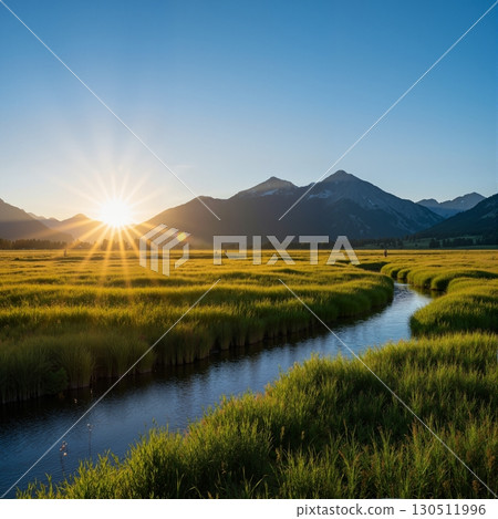 Sunrise over plain 130511996