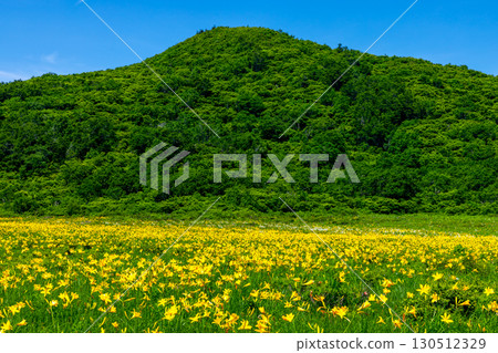 福島縣喜多方市熊倉町小國 日光木菅群落的碧綠天空和覆蓋小國沼的周邊群山 福島縣喜多方市熊倉町小國 日光木菅群落的碧綠天空和覆蓋小國沼的周邊群山 130512329