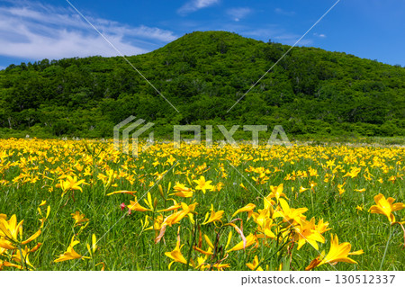 福島縣喜多方市熊倉町小國 日光木菅群落的碧綠天空和覆蓋小國沼的周邊群山 130512337