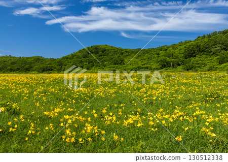 福島縣喜多方市熊倉町小國 日光木菅群落的碧綠天空和覆蓋小國沼的周邊群山 福島縣喜多方市熊倉町小國 日光木菅群落的碧綠天空和覆蓋小國沼的周邊群山 130512338