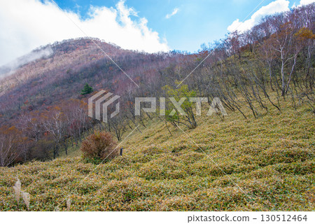 Autumn Akagi-yama Autumn Akagi-yama 130512464