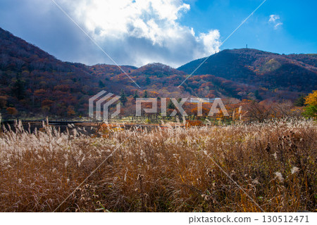 秋天赤城山 秋天赤城山 130512471