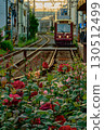 Roses and trains (Toden Arakawa Line Minowabashi Station) 130512499