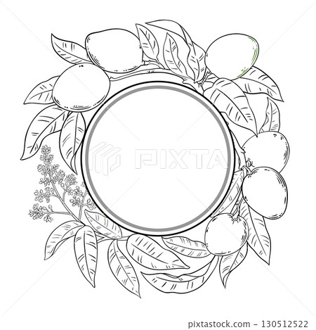 Mango Branch with Fruits Outline Round Frame Mango Branch with Fruits Outline Round Frame 130512522