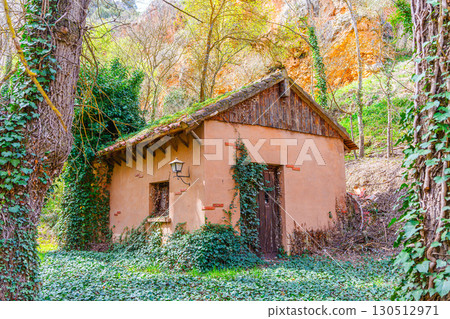 Old abandoned house covered by ivy in monasterio de piedra natural park Old abandoned house covered by ivy in monasterio de piedra natural park 130512971