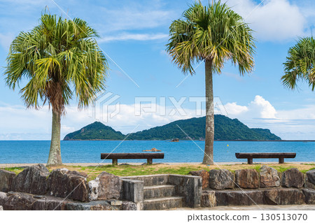 The view of Oshima Island seen through the benches and palm trees at Odozu Beach 130513070
