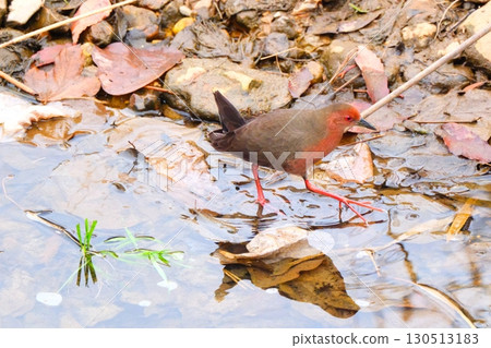 Hi coexisting in the city 130513183