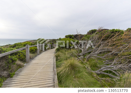 Walking path graveled in green bushes at 12 Apostles National Park Victoria, Australia. 130513770