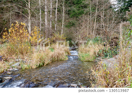 A section of the Thacker Regional Park in Hope, BC, Canada A section of the Thacker Regional Park in Hope, BC, Canada 130513987