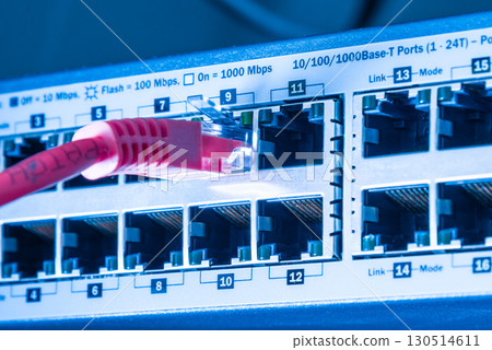 red network cable connected to witch 130514611