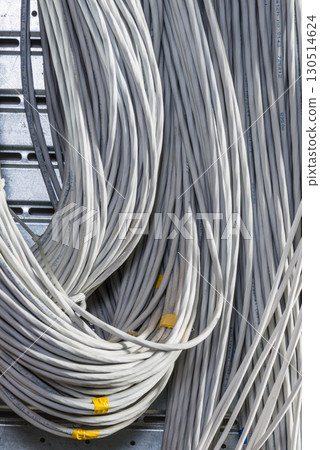 bunch of network cables in wave pattern leading across server ro bunch of network cables in wave pattern leading across server ro 130514624