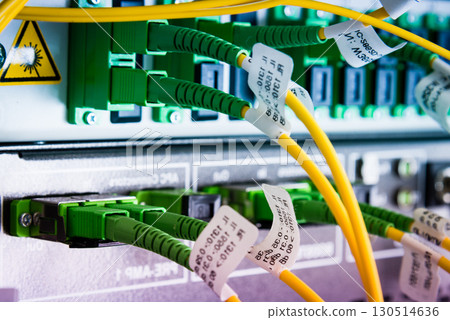 optical cables plugged in network switch optical cables plugged in network switch 130514636