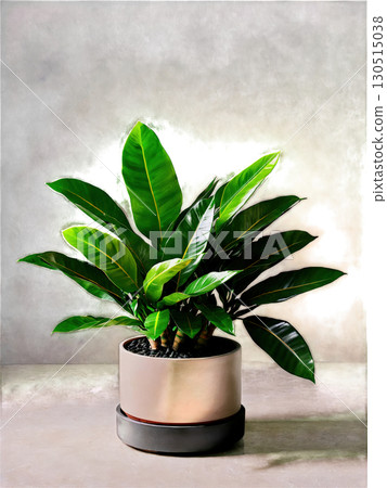 Zamioculcas Zen A serene zamioculcas in a sleek, minimalist pot, its waxy leaves glowing under soft, zen lighting. 130515038