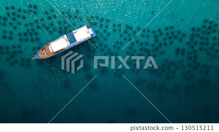 Aerial view of diving boat anchoring over the artificial reef at Racha Yai Island, Phuket, Thailand. Aerial view of diving boat anchoring over the artificial reef at Racha Yai Island, Phuket, Thailand. 130515211