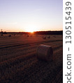 Landscape with hay rolls in early autumn 130515439